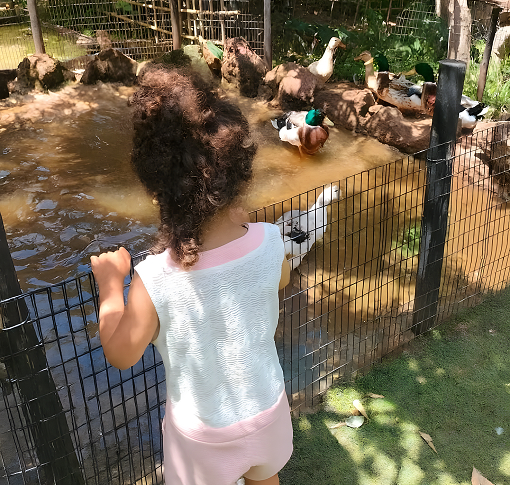 Activités en plein air La Plume Temara - Éveil linguistique et découverte nature pour enfants